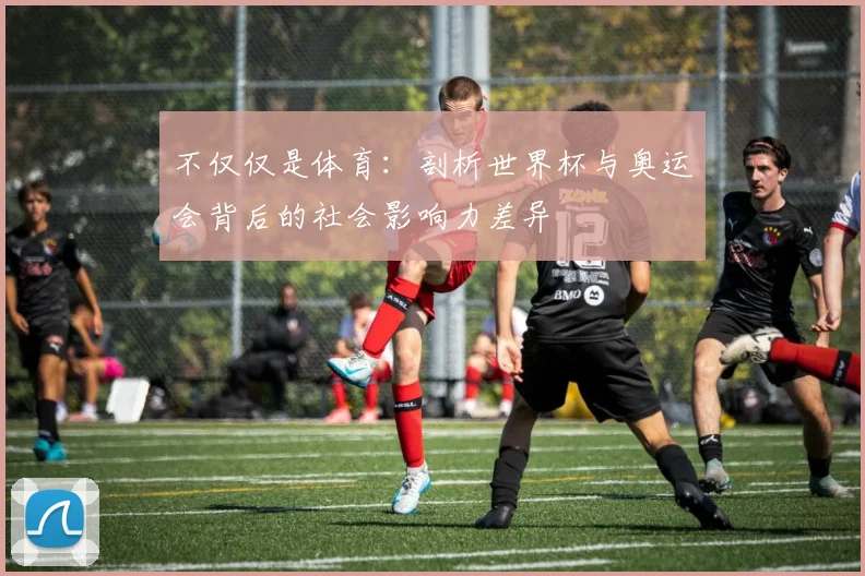 不仅仅是体育：剖析世界杯与奥运会背后的社会影响力差异
